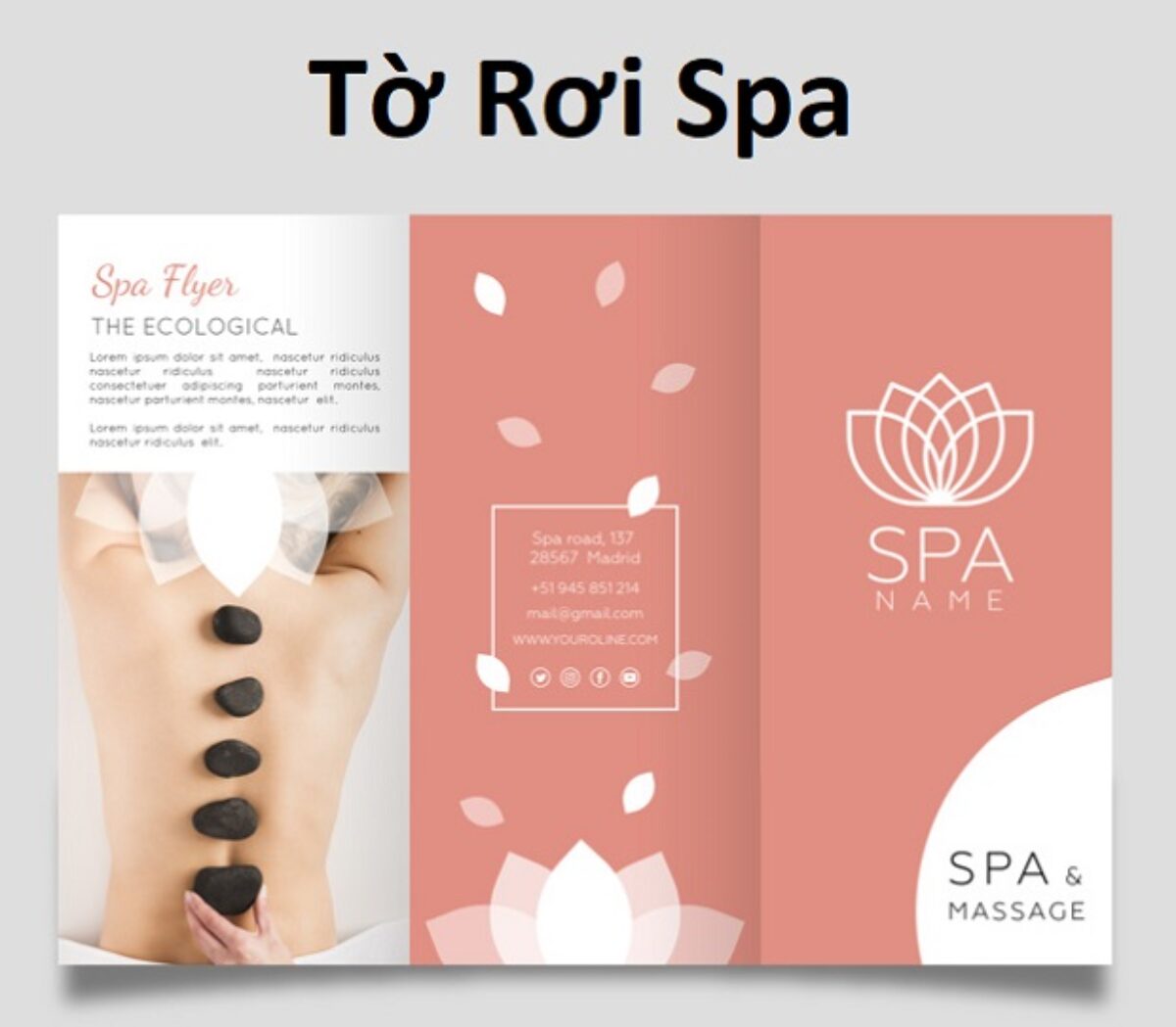 Top 30+ Mẫu Tờ Rơi Spa/Thẩm Mỹ Viện Đẹp Để Làm Marketing