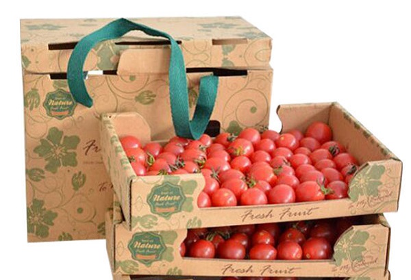 Các mẫu thùng carton đựng trái cây phổ biến