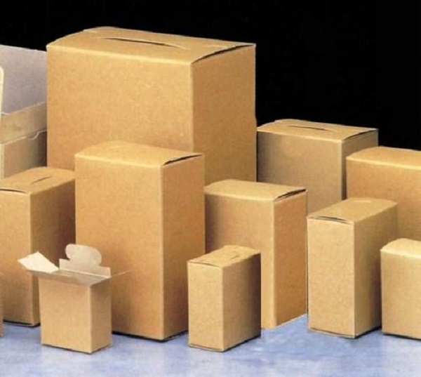 mẫu hộp carton nhỏ chuyên nghiệp
