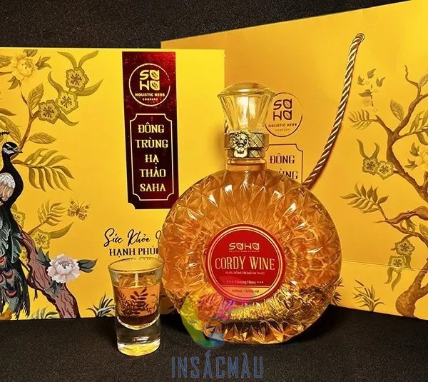 Mẫu hộp đựng rượu đông trùng hạ thảo có quai xách