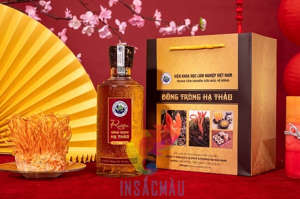 Mẫu hộp giấy đựng rượu đông trùng hạ thảo có quai xách tiện lợi