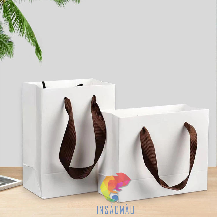 Mẫu túi giấy kraft trắng cỡ lớn
