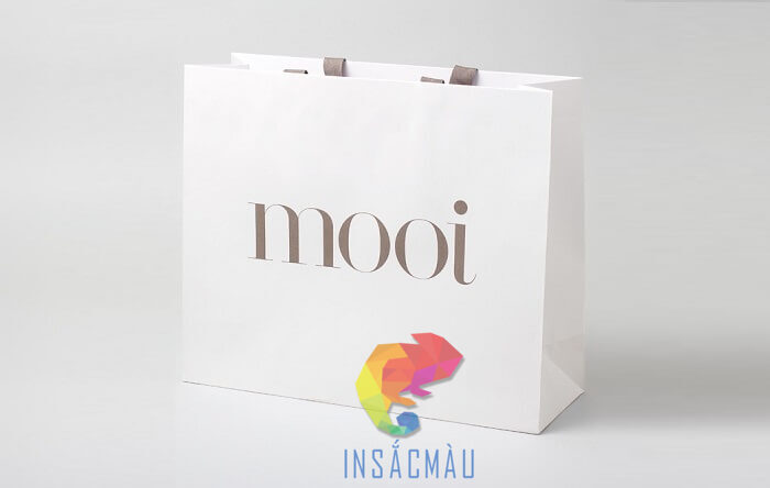 Mẫu túi kraft trắng thiết kế chuyên nghiệp