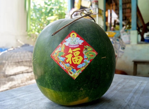 Mẫu tem dán dưa hấu mùa Tết