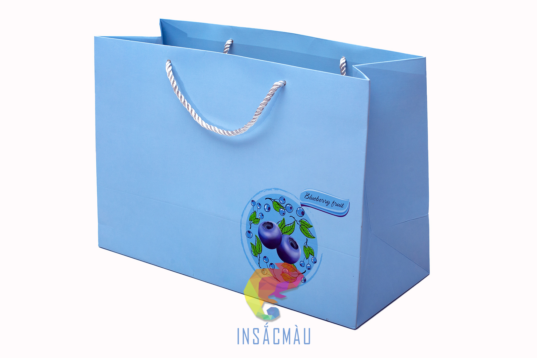 Mẫu túi giấy duplex đựng quà tặng