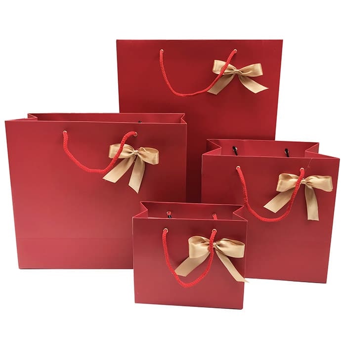 Mẫu túi đựng quà xỏ quai sang trọng