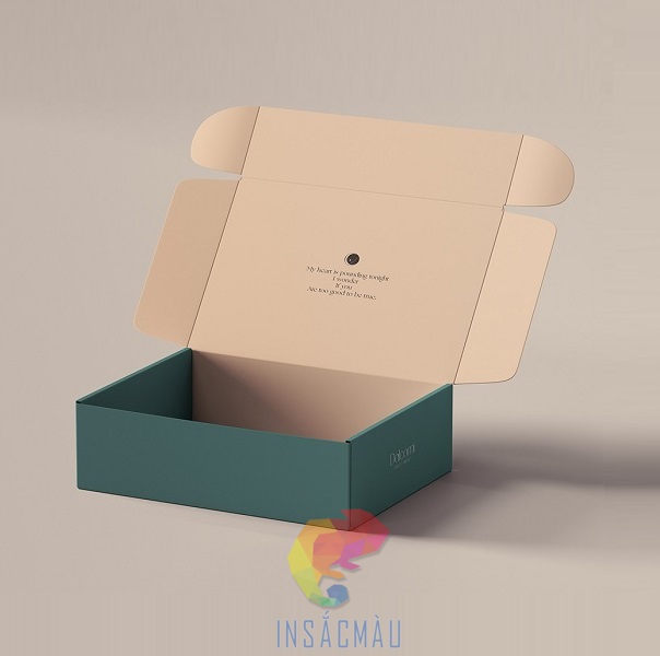 Hộp Carton Nắp Gài