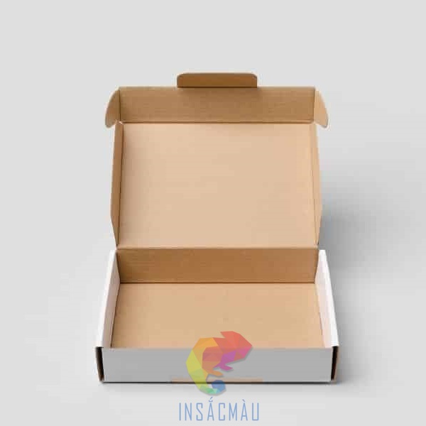 Mẫu hộp giấy carton nắp gài dáng dẹt