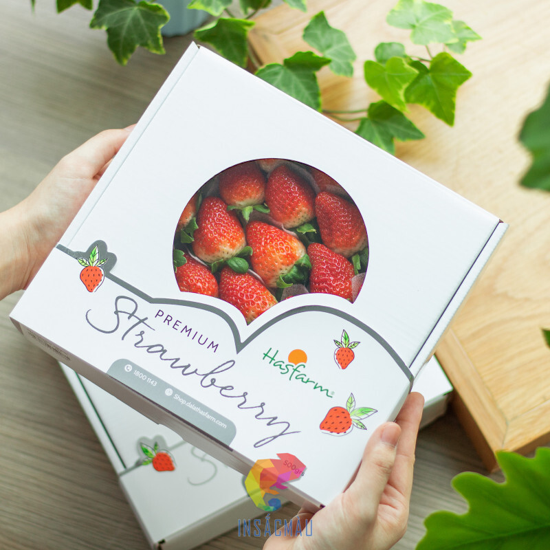 Mẫu hộp giấy đựng dâu tây đẹp