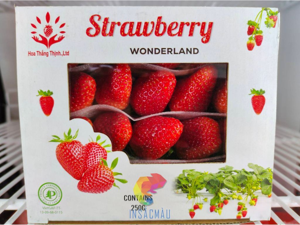 Mẫu hộp đựng dâu tây có cửa sổ