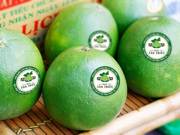 In Tem Nông Sản, Rau Củ 20 Tiêu chuẩn chất lượng của tem nông sản