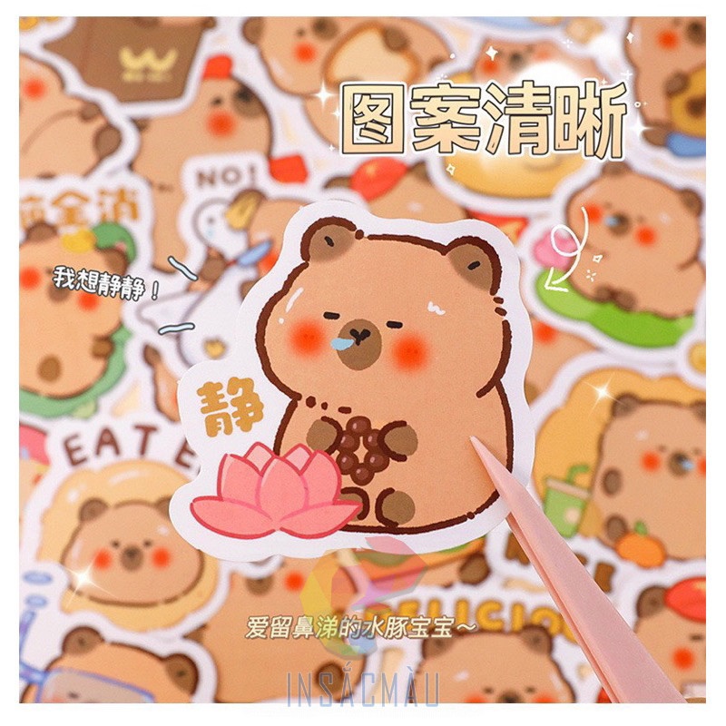 sticker capybara - 10