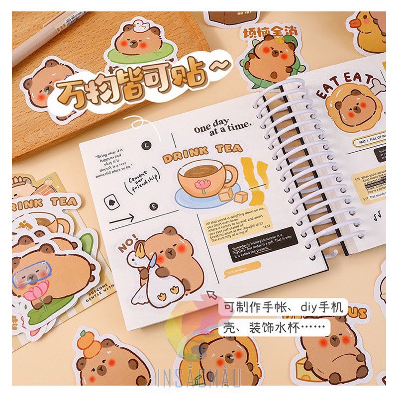 sticker capybara - 11