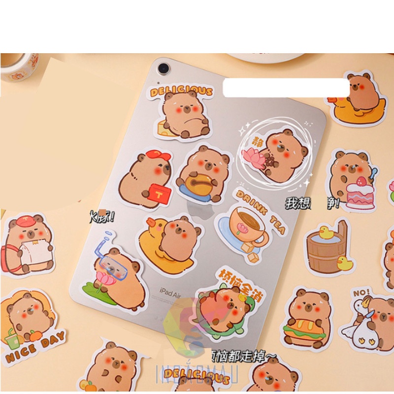 sticker capybara - 13