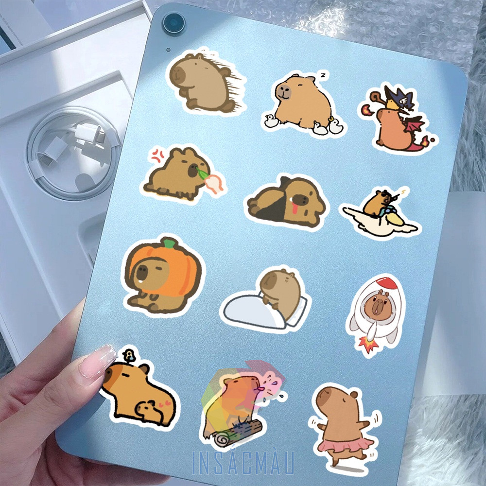 sticker capybara - 27