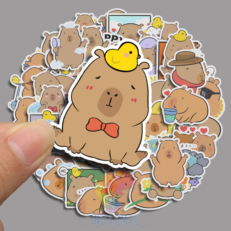 sticker capybara - 45