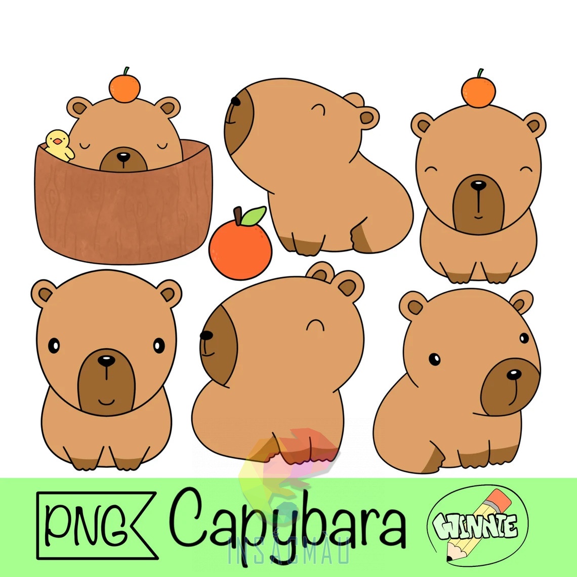 sticker capybara - 58