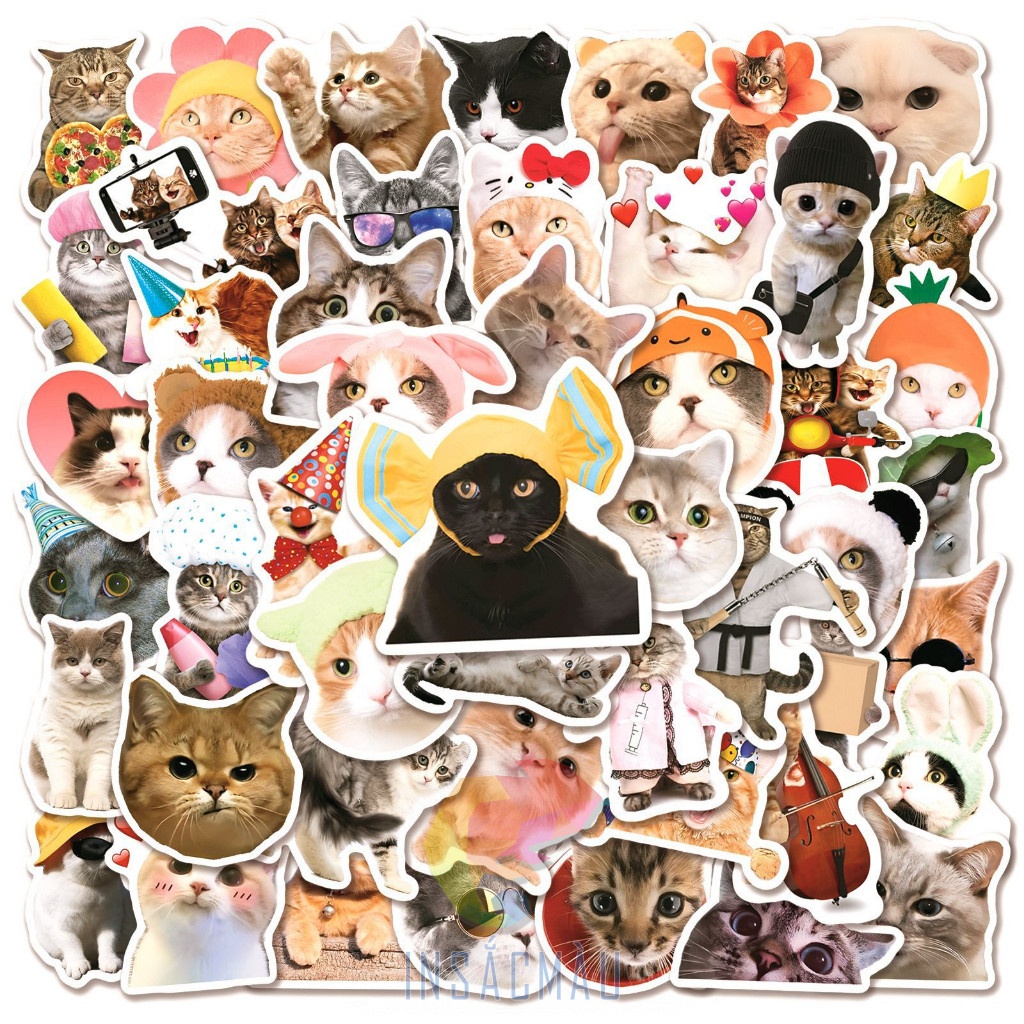 Mẫu sticker mèo cute - 1