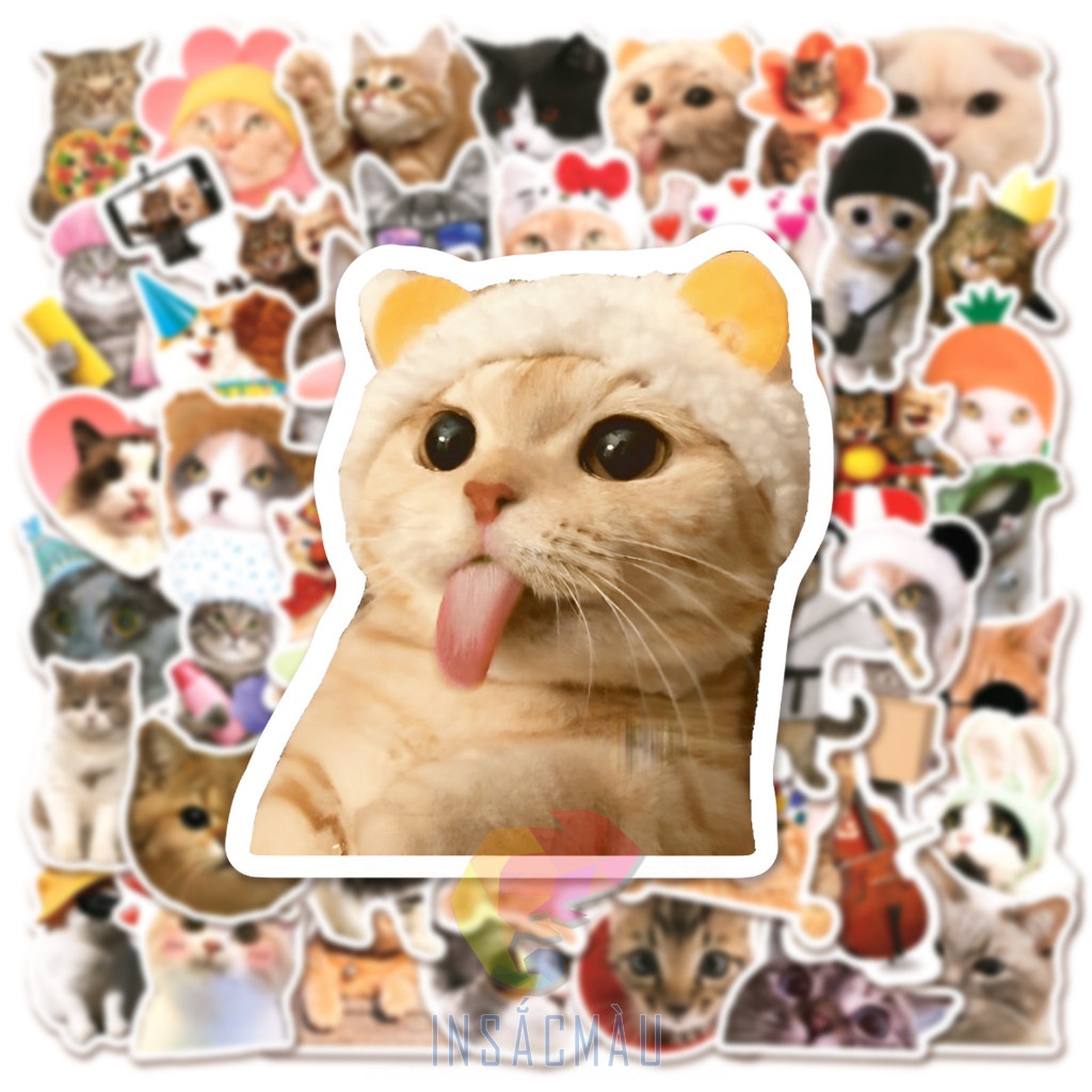 Mẫu sticker mèo cute - 14