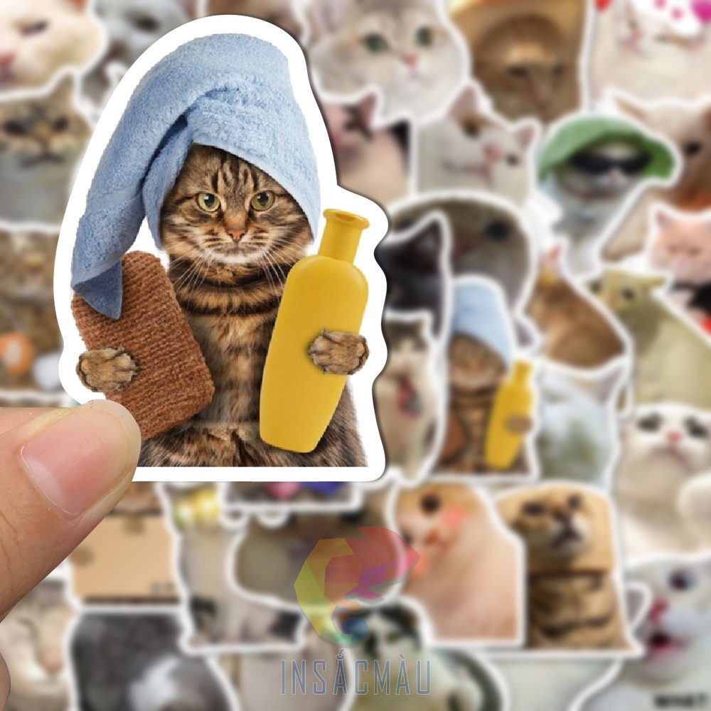 Mẫu sticker mèo cute - 22