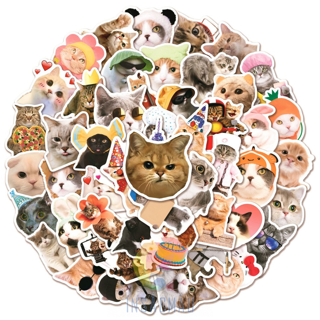 Mẫu sticker mèo cute - 4