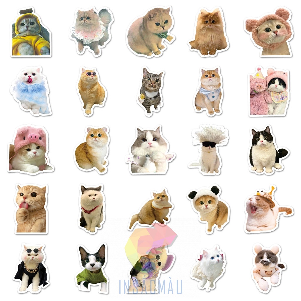 Mẫu sticker mèo cute - 41