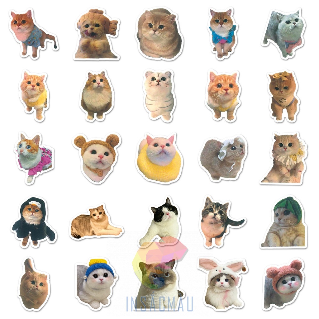 Mẫu sticker mèo cute - 42