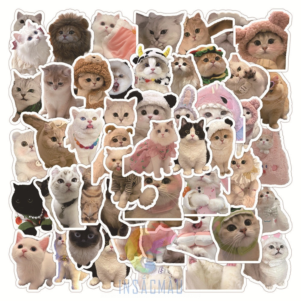 Mẫu sticker mèo cute - 43