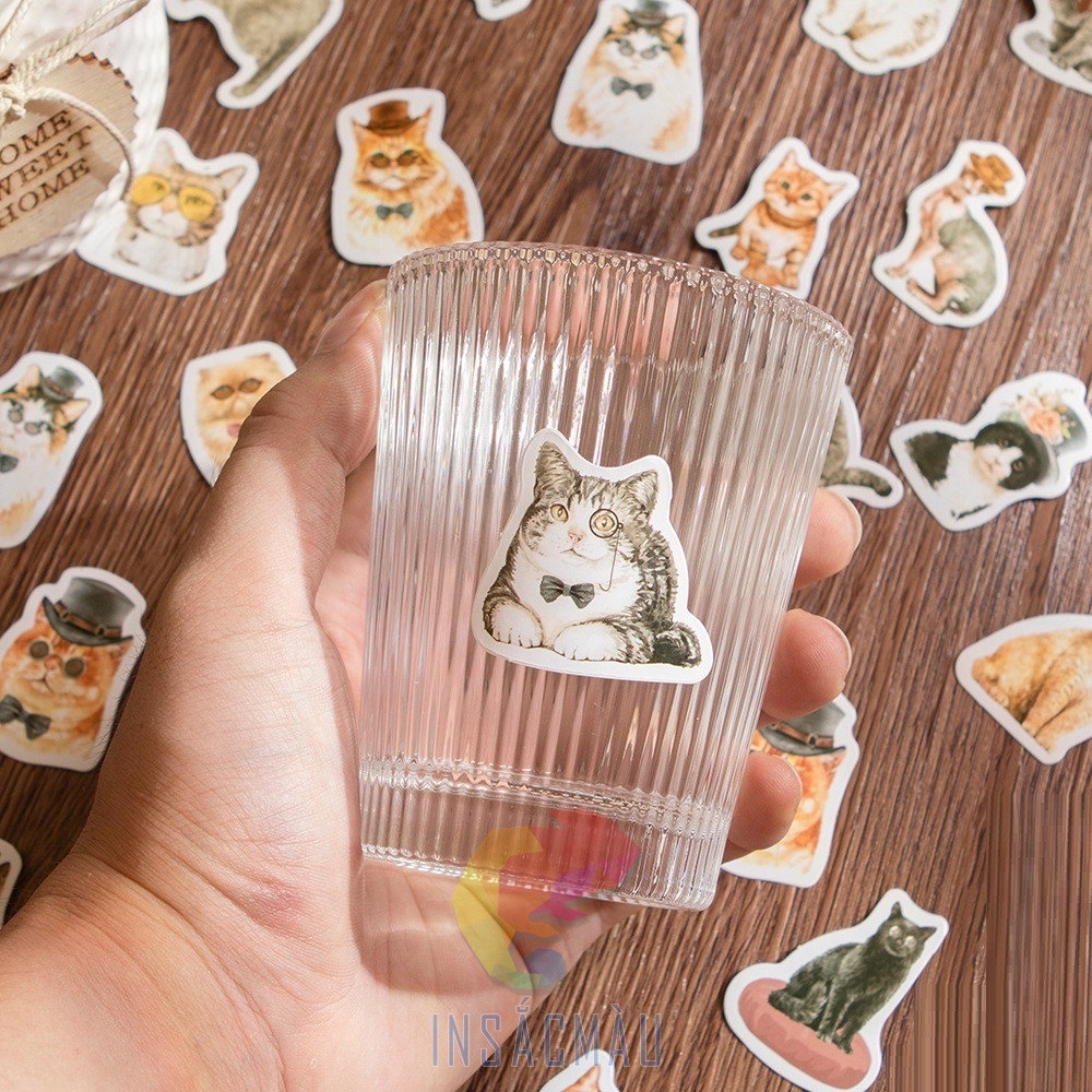 Mẫu sticker mèo cute - 49