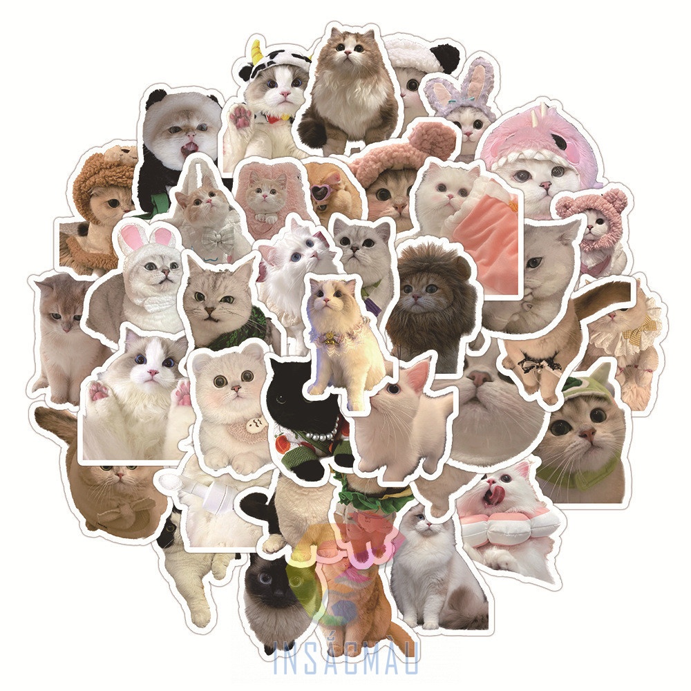 Mẫu sticker mèo cute - 57