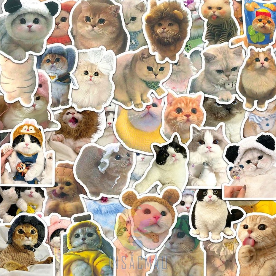 Mẫu sticker mèo cute - 6