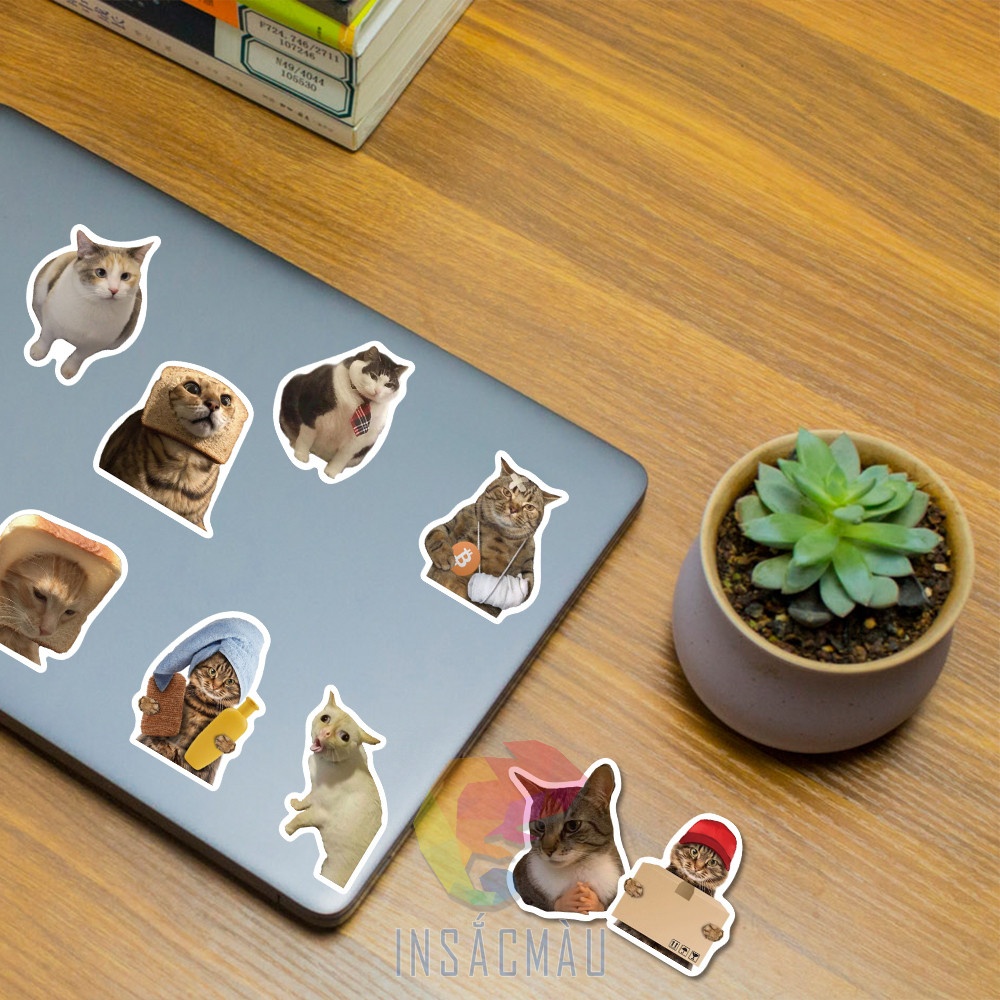 Mẫu sticker mèo cute - 7