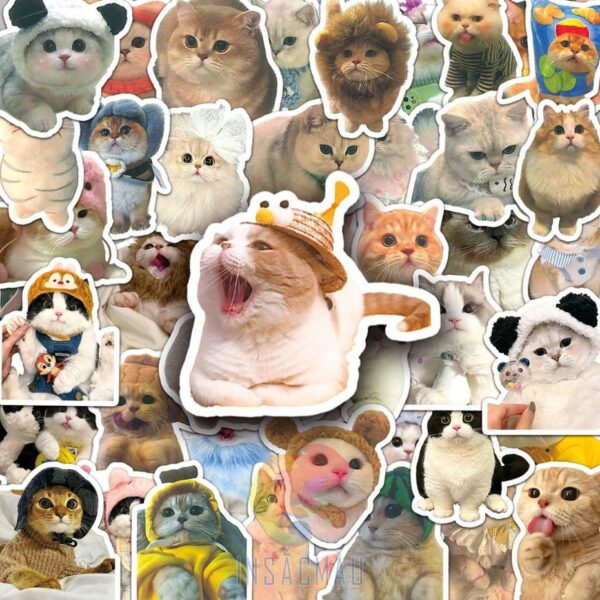 60+ Mẫu Sticker Mèo Cute, Dễ Thương Được Yêu Thích Nhất - In Sắc Màu