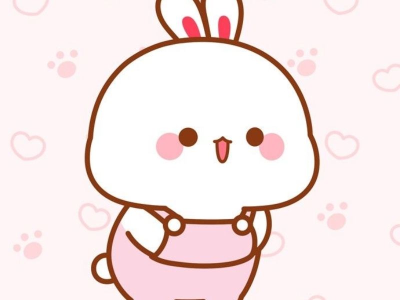 Sử dụng sticker thỏ cute để làm gì?