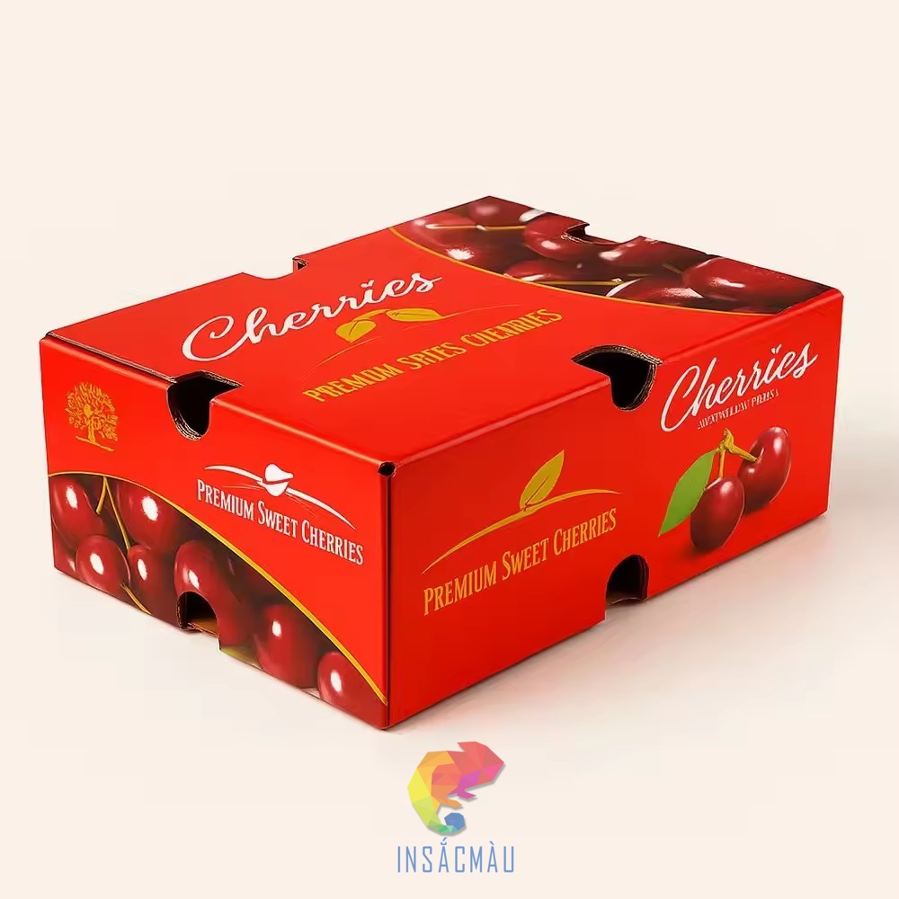 Mẫu hộp giấy carton đựng cherry đục lỗ