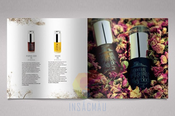 Mẫu catalogue mỹ phẩm khổ vuông