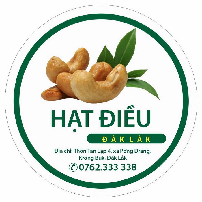 Logo hạt điều - 1