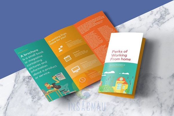 Mẫu pamphlet loại gập 3