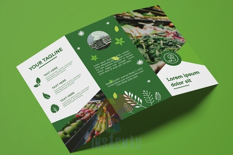 Mẫu pamphlet cho ngành thực phẩm