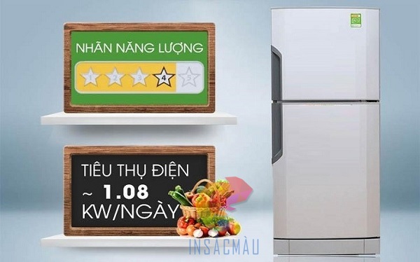 In Tem Dán Tủ Lạnh 46 Tem nhãn năng lượng của tủ lạnh