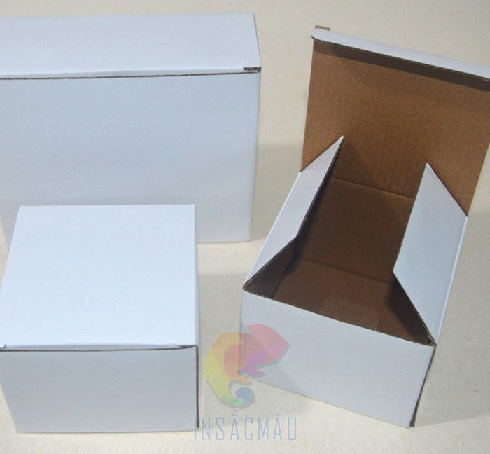 In Hộp Carton Trắng 10 Hộp carton trắng 3 lớp