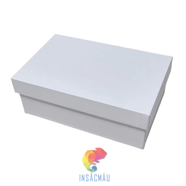 Mẫu hộp giấy carton trắng nắp âm dương