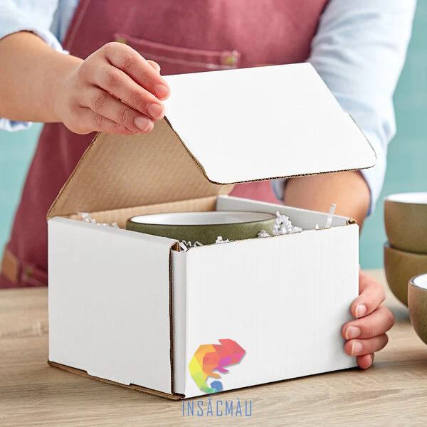 Mẫu hộp carton trắng nắp gài