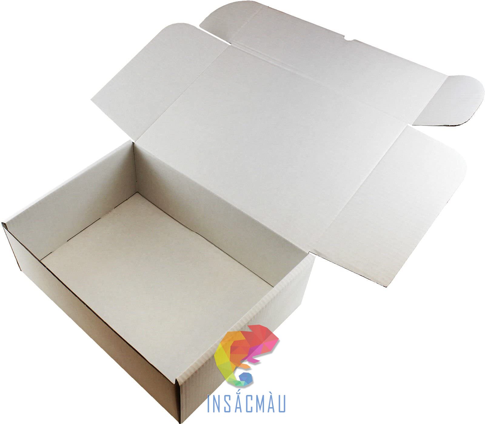 Mẫu hộp carton trắng đựng giày