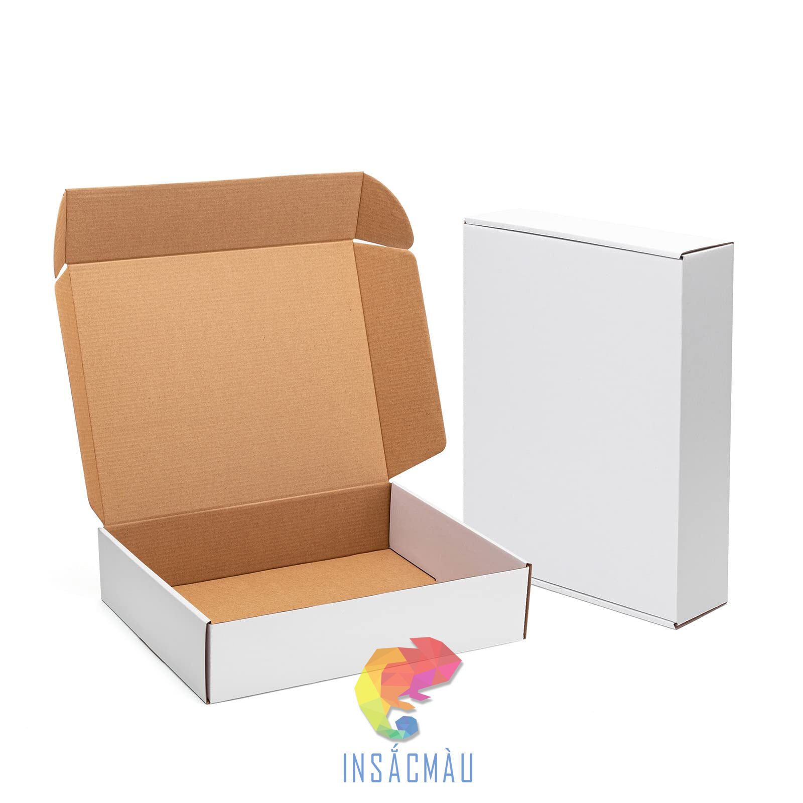 Mẫu hộp carton trắng nắp gài chuyên nghiệp