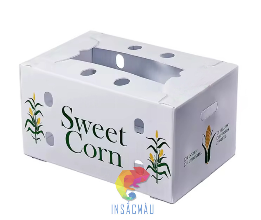 Mẫu hộp carton trắng đựng trái cây