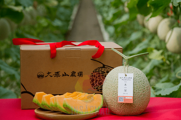 Hộp Carton Có Quai Xách 41 Đặt làm hộp carton có quai xách, thùng carton có quai xách theo yêu cầu, giá rẻ tại In Sắc Màu