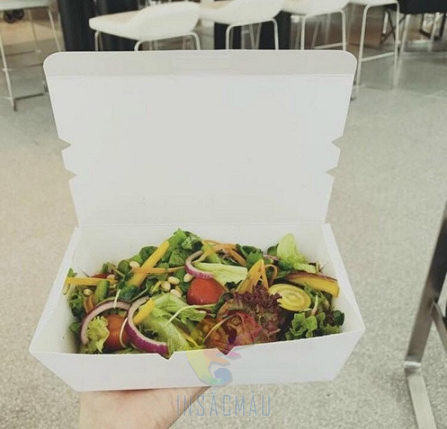 Mẫu hộp giấy đựng salad dáng nắp gài