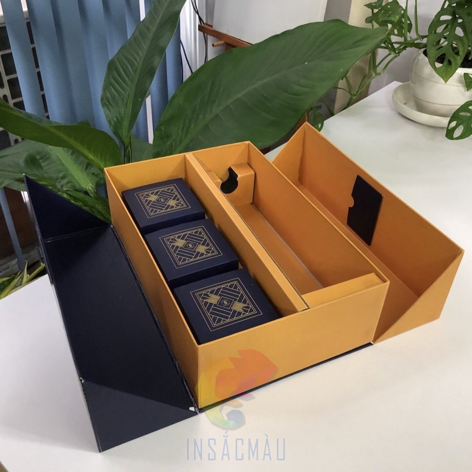 In Hộp Carton Lạnh 13 Mẫu hộp carton lạnh cao cấp nắp cánh bướm