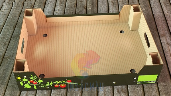 Khay Giấy Đựng Hoa Quả, Trái Cây 26 Khay giấy cứng đựng trái cây để xuất khẩu, nhập khẩu